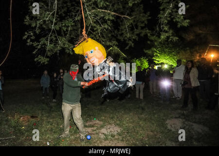 Der fotojournalist Luis Gutierrez de Norte Foto und Biologen aus den USA und Mexiko, mit einem Holzstab, ein Donald Trump piñata. Stockfoto