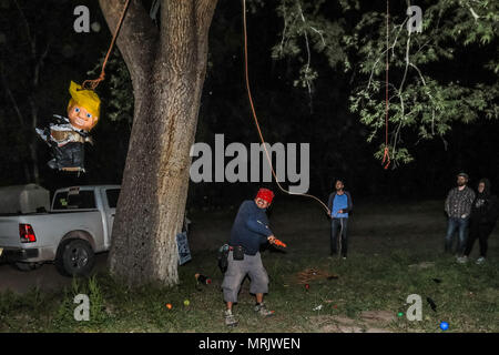 Der fotojournalist Luis Gutierrez de Norte Foto und Biologen aus den USA und Mexiko, mit einem Holzstab, ein Donald Trump piñata. Stockfoto