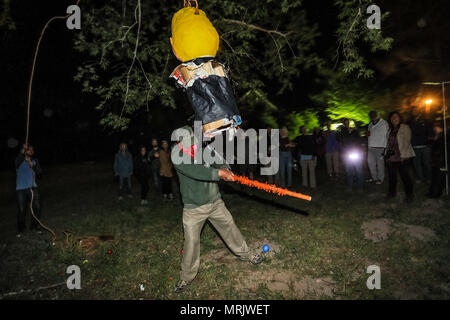 Der fotojournalist Luis Gutierrez de Norte Foto und Biologen aus den USA und Mexiko, mit einem Holzstab, ein Donald Trump piñata. Stockfoto