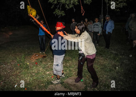 Der fotojournalist Luis Gutierrez de Norte Foto und Biologen aus den USA und Mexiko, mit einem Holzstab, ein Donald Trump piñata. Stockfoto