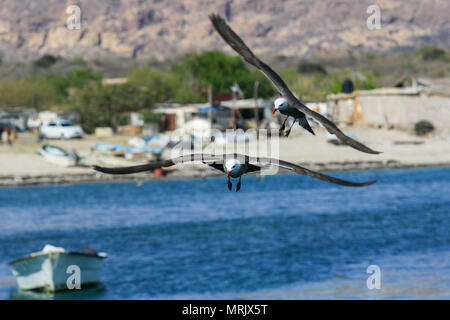 Bericht über das Leben und die Bewohner der Fischerei der Gemeinschaft La Manga, eine Kolonie, die scheint so marginal als privilegierte die Vorteile von Meer, suchen Stockfoto
