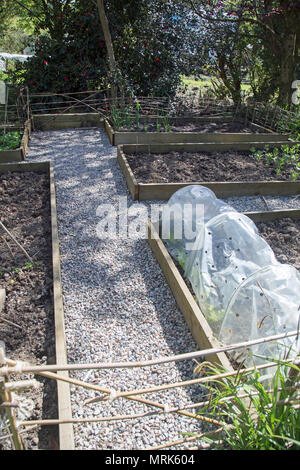 Blick auf den Bauerngarten vegetsable Patch Stockfoto
