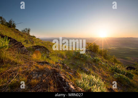 Sonnenaufgang vom Steptoe Butte, Palouse Stockfoto