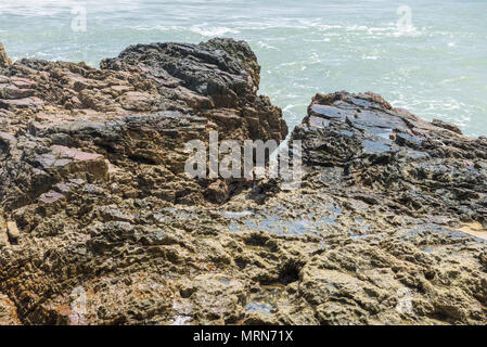 Felsen am Strand mit Wellen und splahes auf die Natur Stockfoto