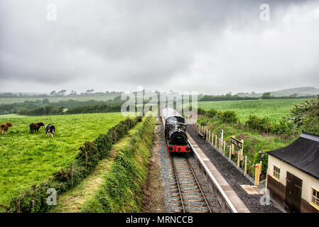 Dampfzug Helston Cornwall Großbritannien England die südlichste Bahn Linie in Großbritannien Helston Dampfzug Eingabe der südlichste Bahnhof Truthall, der Beifahrer Dampfzug fährt die Linie zum ersten Mal in über 55 Jahren. 27-05-2018 Der letzte Tag der Personenbeförderung, Samstag, 3. November 1962 Helston Eisenbahn ist eine Rekonstruktion des ursprünglichen GWR Nebenbahn, die Serviced Helston und die Lizard Halbinsel seit über 100 Jahren durch, wenn er in den 1960er Jahren geschlossen. Die Linie gewartet lokalen Reisende, Touristen und Unternehmen einschließlich der Herstellung, der Bergbau und die culdrose Airbase. Stockfoto