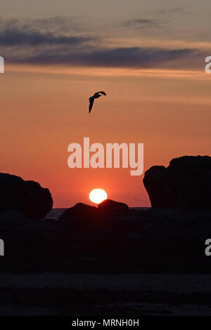 St Andrews, Schottland, Vereinigtes Königreich, 27, Mai, 2018. Die Sonne in St. Andrews auf May Bank Holiday Sonntag, © Ken Jack/Alamy leben Nachrichten Stockfoto