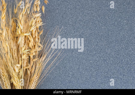 Hell Gelb Ohren von Weizen und Gerste vor dem Hintergrund der grauen Granit. Stockfoto