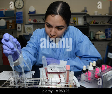 Us Air Force Staff Sgt. Mari Crespo, 633Rd Medizinischer Support Squadron Labor medizinische Labortechniker, führt Tests auf einem Blut Bank bei Joint Base Langley-Eustis, Virginia, 26. Juni 2017. Blut für Transfusionen in Notsituationen und chirurgische Verfahren verwendet. (U.S. Air Force Foto/Staff Sgt. Teresa J. Cleveland) Stockfoto