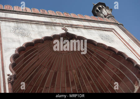 Detail der Jama Masjid Moschee, Old Delhi, Delhi, Indien Stockfoto