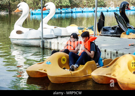 Mexiko-Stadt, Polanco, Hispanic Ethnic Bosque de Chapultepec Waldpark parque, See, Tretboot, Tretboot, Verleih-Dock, Jungen, männlicher Kid Kinder Kind Stockfoto