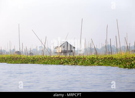 Bambusstangen halten schwimmenden Garten an der richtigen Stelle um erhöhte Holzhütten am Rande der Inle See, Myanmar Stockfoto