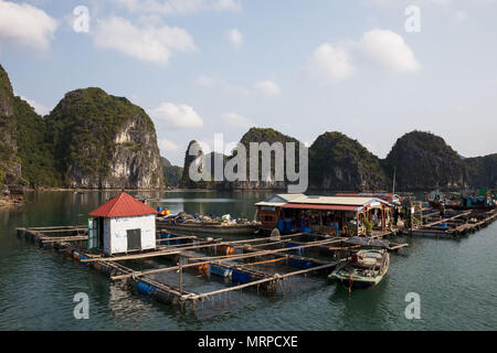 Halong Bay, Vietnam - 8. März 2018: Kleine schwimmende Fischerdorf mit angehängten Fischzucht Stockfoto