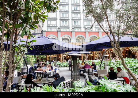 Mexiko-Stadt, Colonia Cuauhtemoc, lateinamerikanische lateinamerikanische ethnische Minderheit, Immigranten, Mexikaner, vier Wassersöhne im Meer, Hotel, Garten im Innenhof, RE Stockfoto