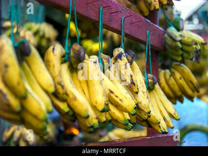 Ein Geschäft mit nur Bananen. Nur Bananen. Jede Traube ist auf lila Holz- bar ausgesetzt. Einige sind immer noch Grün, Gelb und Braun. Stockfoto