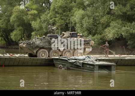 Während der Übung Szentes Axe 17 am 4. Juli 2017 fuhren Soldaten mit einem Stryker-Kampffahrzeug über den Fluss Mosoni-Duna in Győr, Ungarn, wobei sie eine Brücke benutzten, die von Ingenieureinheiten aufgestellt wurde. Das Archivbild dokumentiert taktische Flussüberquerungen, die zur Unterstützung von Saber Guardian 17 durchgeführt wurden. Stockfoto