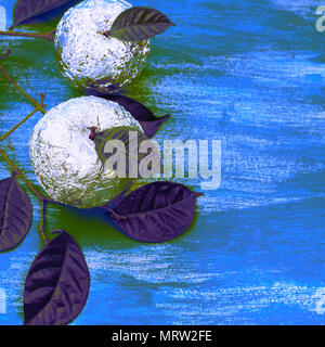 Zwei Äpfel in der shell Folie mit natürlichen, grünen Blätter Surrealismus. Holz- candy blauen Hintergrund. Flach Top View Stockfoto