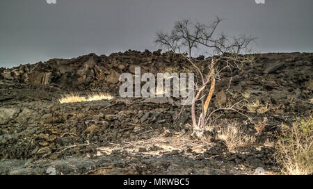 Lavafelder um Erta Ale Vulkan in der Danakil, Afar, Äthiopien Stockfoto