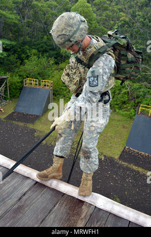 Cadet Scott Kerchberger, eine Reserve Officer Training Corps (ROTC) Cadet von der Virginia Military Institute, führt eine RAPPEL am Blitz Akademie am Schofield Barracks Osten, Hawaii, am 6. Juli 2017. Kerchberger ist Teil des diesjährigen 25 Infanterie Division Cadet Truppe Leadership Training (CTLT) und ist derzeit mit der 3. Staffel zugeordnet, 4.Kavallerie Regiments, 3. Brigade Combat Team, 25-ID, die während der Dauer seines Aufenthalts in Hawaii. (U.S. Armee Foto: Staff Sgt. Armando R. Limon, 3. Brigade Combat Team, 25., Infanterie Division). Stockfoto