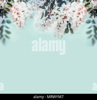 Natur Hintergrund mit schönen Akazienblüten, Vorderansicht Stockfoto