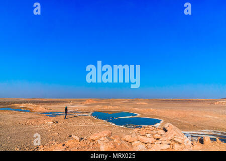 Blick über Süßwasser-Frühling in der Wüste von Iran Stockfoto