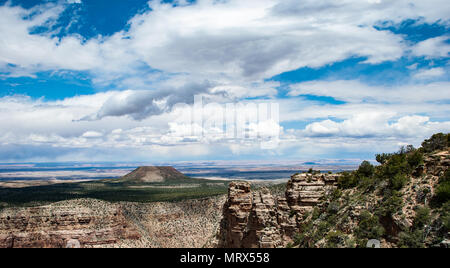 Cedar Mountian, South Rim, Grand Canyon, Arizona Stockfoto