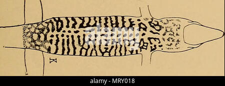 " Transaktionen der amerikanischen philosophischen Gesellschaft" (1771) Stockfoto