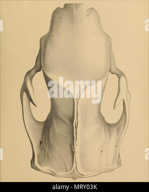 " Transaktionen der amerikanischen philosophischen Gesellschaft" (1771) Stockfoto