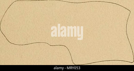 " Transaktionen der amerikanischen philosophischen Gesellschaft" (1771) Stockfoto