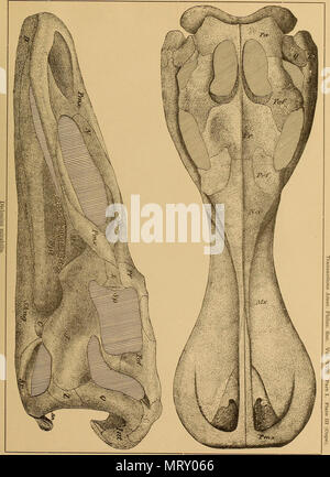 " Transaktionen der amerikanischen philosophischen Gesellschaft" (1771) Stockfoto
