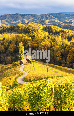 Die heartshaped Straße bei Sonnenuntergang. Spicnik, Kungota, Drau region, Slowenien. Stockfoto