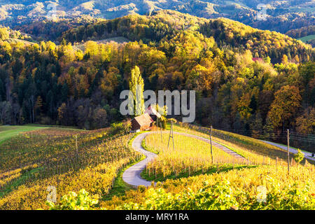 Die heartshaped Straße bei Sonnenuntergang. Spicnik, Kungota, Drau region, Slowenien. Stockfoto