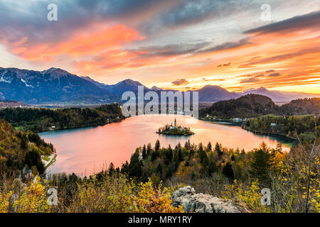 Erhöhten Blick auf See bei Sonnenaufgang Bled. Bled, Obere Krain, Slowenien Stockfoto