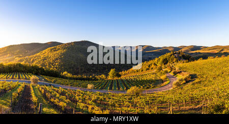 Greve in Chianti, Provinz Florenz, Toskana, Italien. Bauernhaus und Weinberge bei Sonnenaufgang Stockfoto