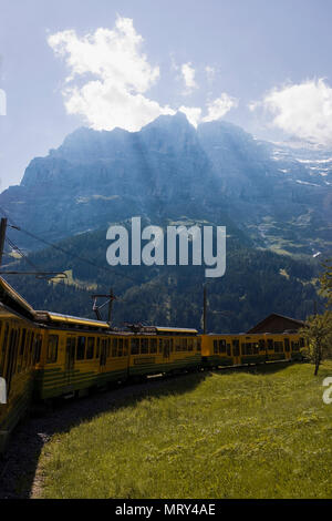 Die Wengernalpbahn bei Alpiglen, mit dem Eiger im Hintergrund, Berner Oberland, Schweiz Stockfoto