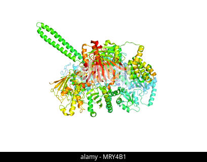 Die Kristallstruktur des Tumor Marker protein. Das 3D-Modell der biologischen Makromolekül. Stockfoto