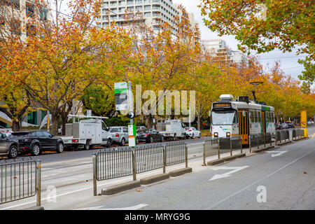 Öffentliche Verkehrsmittel von Melbourne auf der St kilda Road, Melbourne, Victoria, Australien Stockfoto