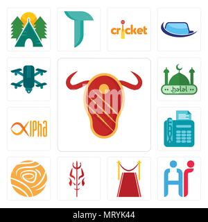 Satz von 13 Einfache editierbare Ikonen wie Steak House, hr, Teppich, Satan, Golden Rose, Fax, alpha, halal, quadcopter Für mobile verwendet werden, die Web-UI Stock Vektor