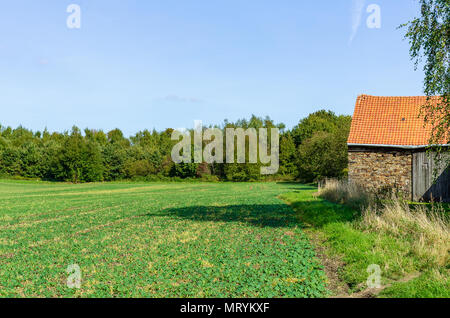 View over a field with a old barn at the side, Essen Germany Stockfoto
