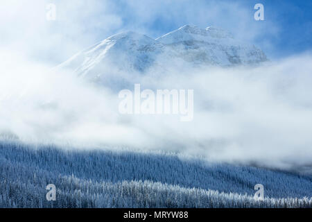Berg- und Nebel nach Schneesturm, Yoho National Park, British Columbia. Stockfoto