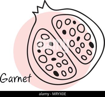 Granatapfel Obst. Line art Grafik. Restaurant Vorlage. Vector Illustration Stock Vektor