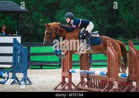 Mädchen springen in einem Hunter jumper Reiten Wettbewerb während des Sommers mit der großen Form. Stockfoto