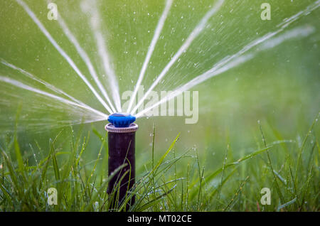 Automatische Sprinkler in Aktion Garten Rasen Bewässerung Gras Stockfoto