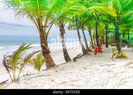 Strand und Meer mit Palmen und ein Ring Rettungsschwimmer Boje auf dem Hintergrund Stockfoto