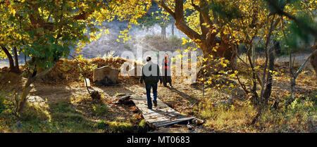 Die Wilden Birnbaum ist ein 2018 türkische Film unter der Regie von Nuri Bilge Ceylan. Dieses Foto ist nur für den redaktionellen Gebrauch bestimmt und unterliegen dem Copyright der Film Company und/oder der Fotograf durch den Film oder die Produktion Firma zugewiesen und kann nur reproduziert durch Veröffentlichungen im Zusammenhang mit der Förderung der oben genannten Film. Eine obligatorische Gutschrift auf dem Film Firma ist erforderlich. Der Fotograf sollte auch angerechnet werden, wenn bekannt. Stockfoto