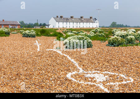 Linie von Muscheln, die Überquerung des Strand von dem Weiler Schindel Straße, Hollesley Bay, Orford Ness Schindel spucken, Suffolk, England Stockfoto