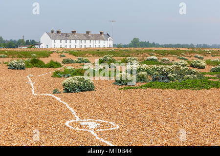 Linie von Muscheln, die Überquerung des Strand von dem Weiler Schindel Straße, Hollesley Bay, Orford Ness Schindel spucken, Suffolk, England Stockfoto