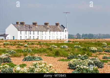 Blick auf Kies Straße auf der Küste von Suffolk UK Stockfoto