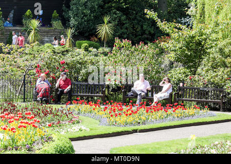 Die Öffentlichkeit genießt Frühlingssonne innerhalb der Grenzen der Dingle, einem schönen öffentlichen Garten in Shrewsbury, England. Stockfoto