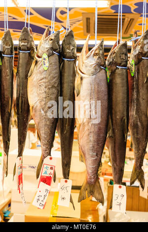 Indoor Omicho Ichiba, Omicho Markt mit frischen Lebensmitteln in Kanazawa, Japan. Große Fisch Markt, ausgenommene Fische hängend, Sticks holding Mägen öffnen. Stockfoto