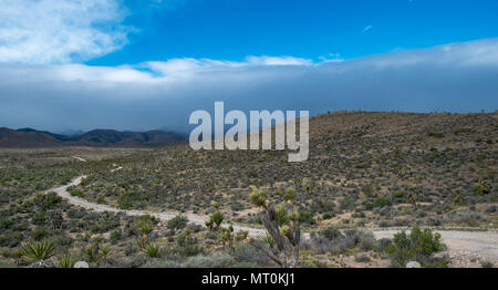 Eine Piste Kurven auf die fernen Hügel verdeckt von Regen. Desert National Wildlife Refuge, Clark County, Nevada, USA. Stockfoto